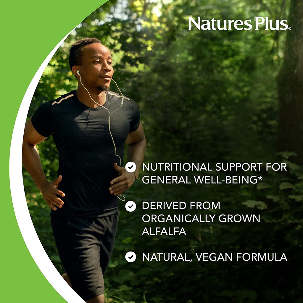 Low Cost PH | Nature Plus Chlorophyll Complex, 90 Capsules