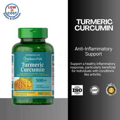 LowCostPH | Puritan's Pride Turmeric Curcumin 500 mg-180 Capsules