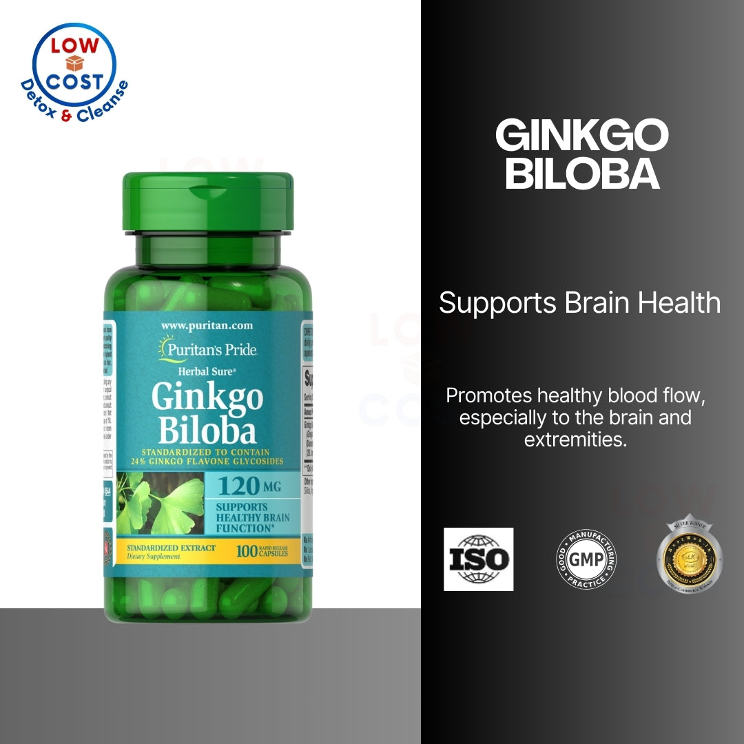 LowCostPH | Puritan's Pride Ginkgo Biloba Standardized Extract supports Healthy Brain Function
