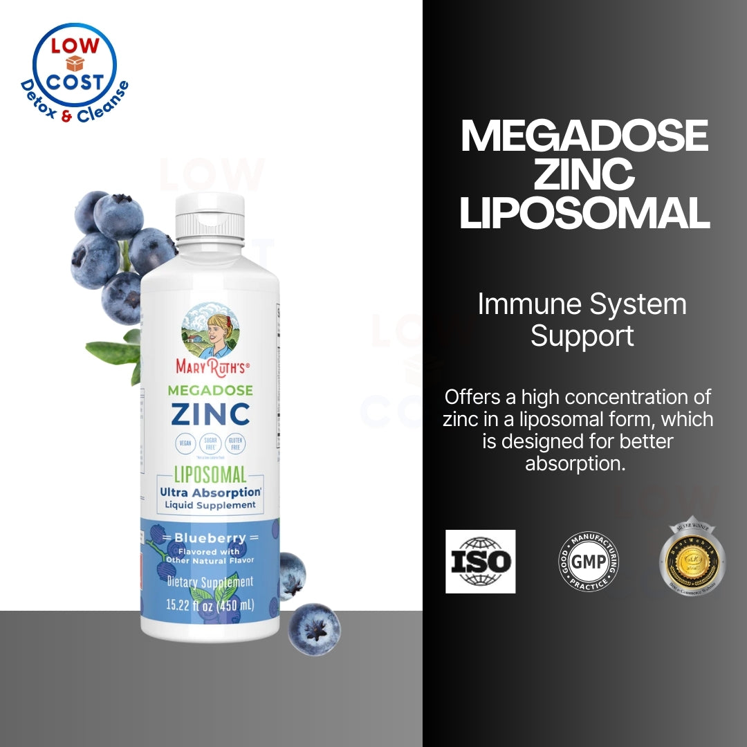 LowCOstPH| MaryRuth's, Megadose Zinc Liposomal, Blueberry, 15.22 fl oz (450 ml)