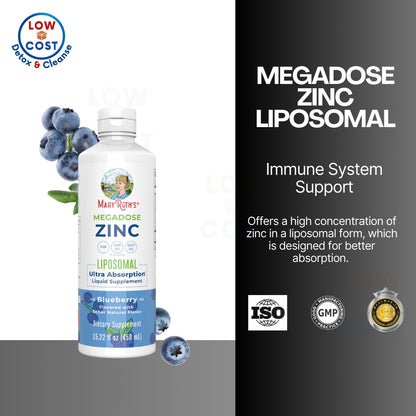 LowCOstPH| MaryRuth's, Megadose Zinc Liposomal, Blueberry, 15.22 fl oz (450 ml)