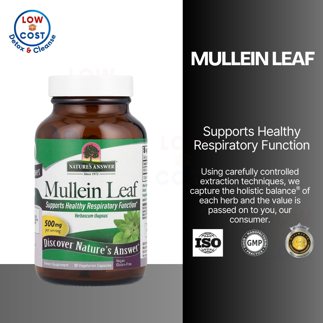 LowCostPH | Nature's Answer, Mullein Leaf, 500 mg, 90 Veg Cap | Fluid Extract, Alcohol-Free, 2,000mg