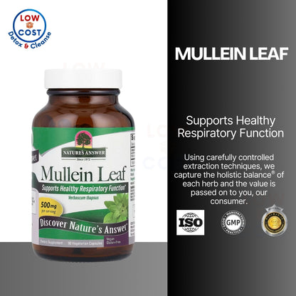 LowCostPH | Nature's Answer, Mullein Leaf, 500 mg, 90 Veg Cap | Fluid Extract, Alcohol-Free, 2,000mg