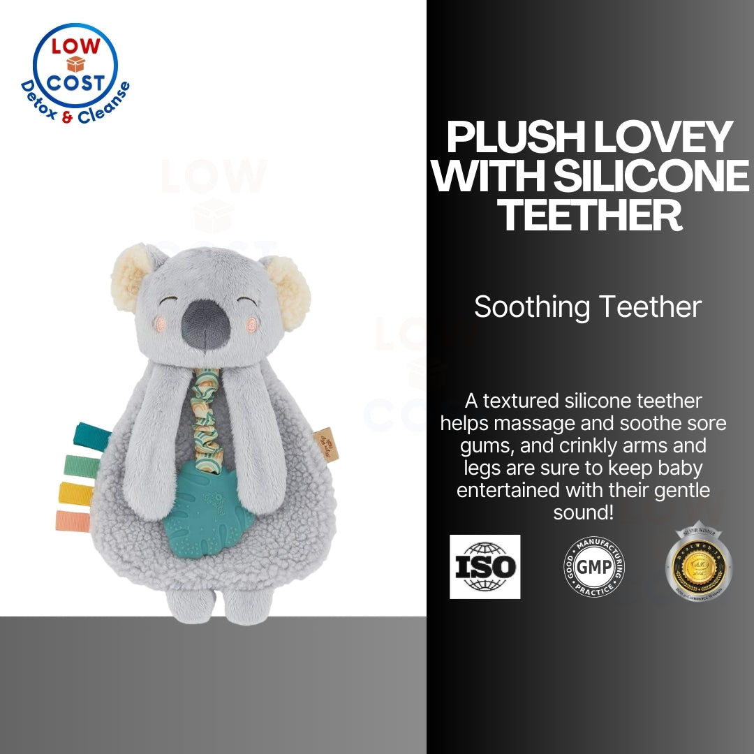 LowCostPH | itzy ritzy, Itzy Lovey, Plush Lovey with Silicone Teether, 0+ Months, Koala, 1 Teether