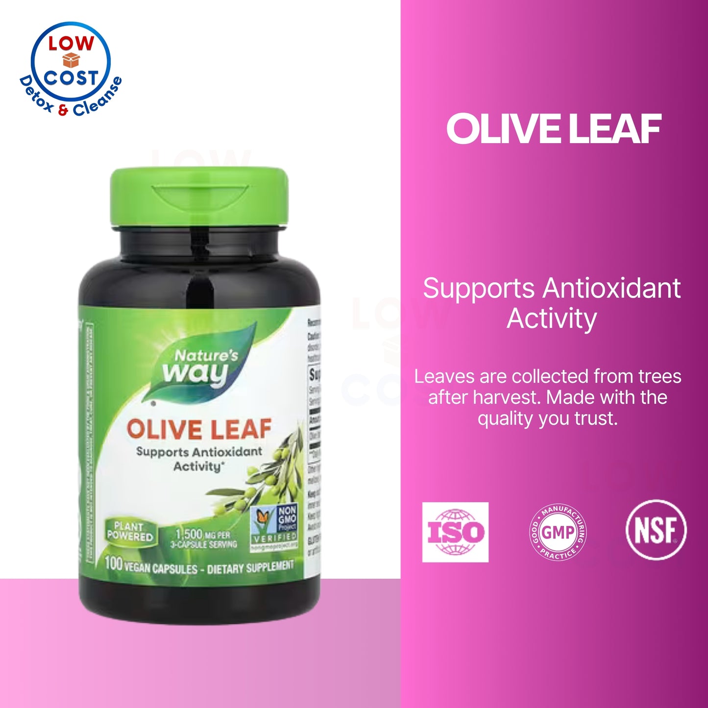 LowCostPH | Nature's Way, Olive Leaf ( Supports Antioxidant Activity & Blood Sugar Regulation )