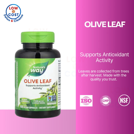 LowCostPH | Nature's Way, Olive Leaf ( Supports Antioxidant Activity & Blood Sugar Regulation )