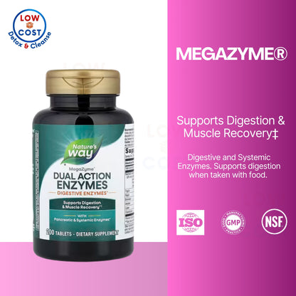 LowCostPH | Nature's Way, MegaZyme®, Dual Action Enzymes ( Digestive Support & Muscle Recovery )