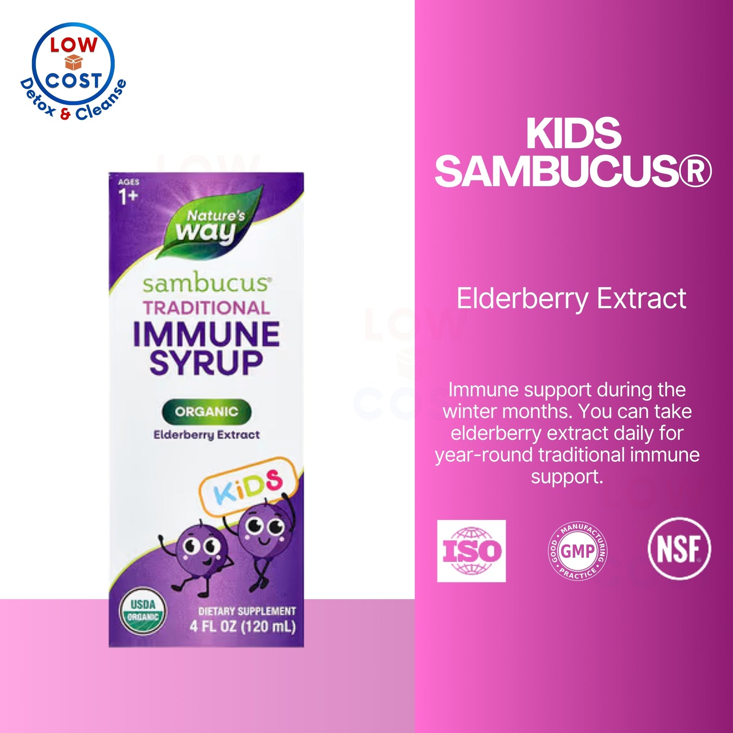 LowCostPH | Nature's Way, Kids Sambucus®, Organic Traditional Immune Syrup ( Immune Support )