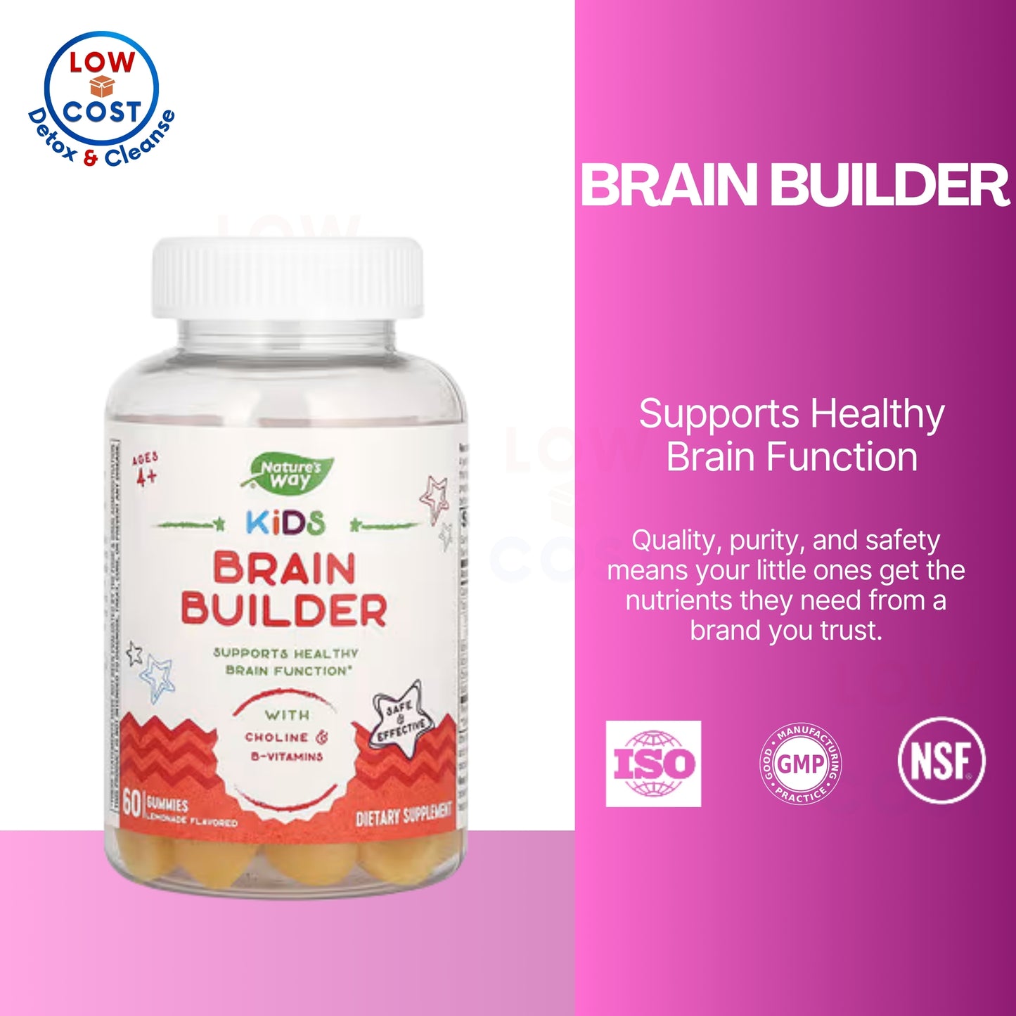LowCostPH | Nature's Way, Kids Brain Builder ( Children's Brain & Cognitive Support )