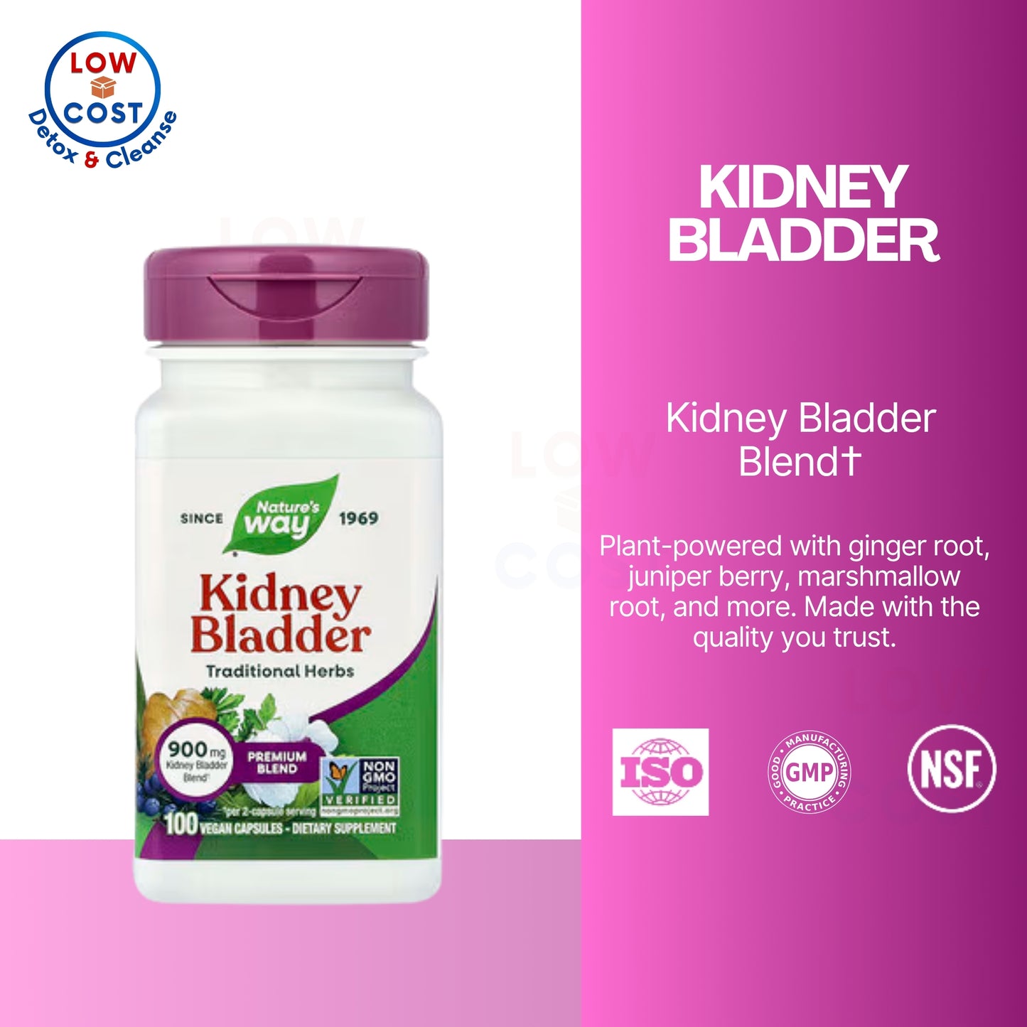 LowCostPH | Nature's Way, Kidney Bladder ( Supports Kidney and Bladder Function )
