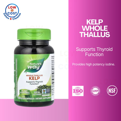 LowCostPH | Nature's Way, Kelp, Whole Thallus ( Thyroid Support, Metabolic & Energy Support )