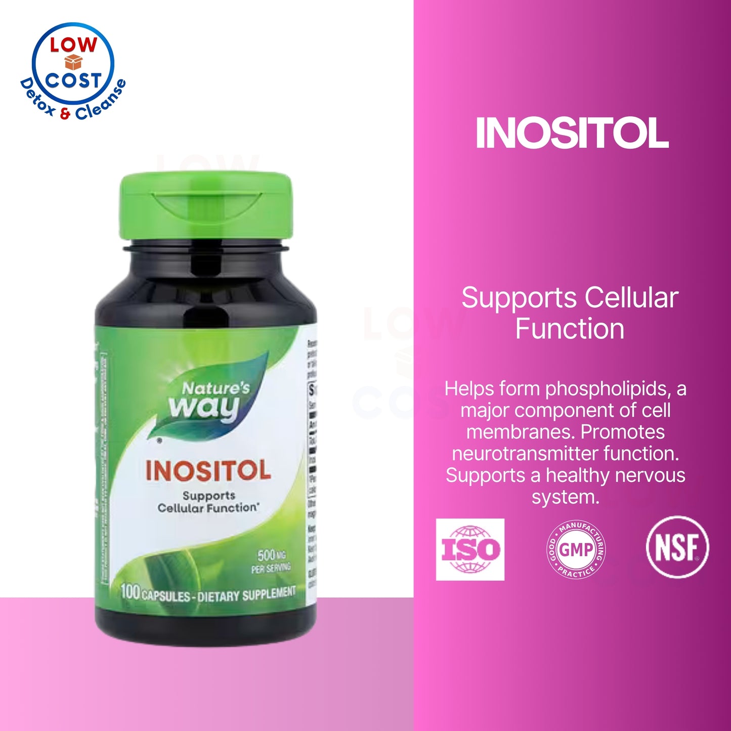LowCostPH | Nature's Way, Inositol ( Cellular Function Support & Metabolic Health )