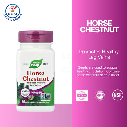 LowCostPH | Nature's Way, Horse Chestnut ( Supports Healthy Leg Veins & Support Vascular Health )
