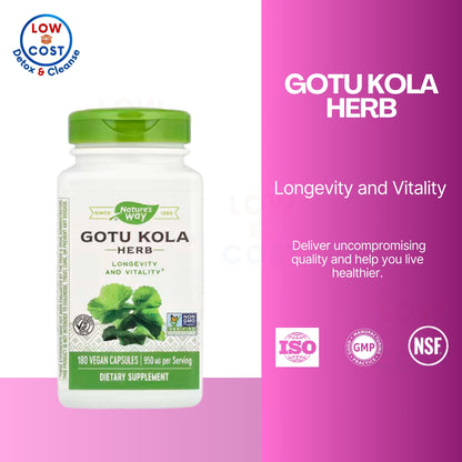 LowCostPH | Nature's Way, Gotu Kola Herb ( Cognitive Support, Circulatory Health, Stress and Anxiety Relief )