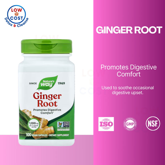 LowCostPH | Nature's Way, Ginger Root ( Supports Healthy Digestion, Eases Indigestion & Mild Heartburn )