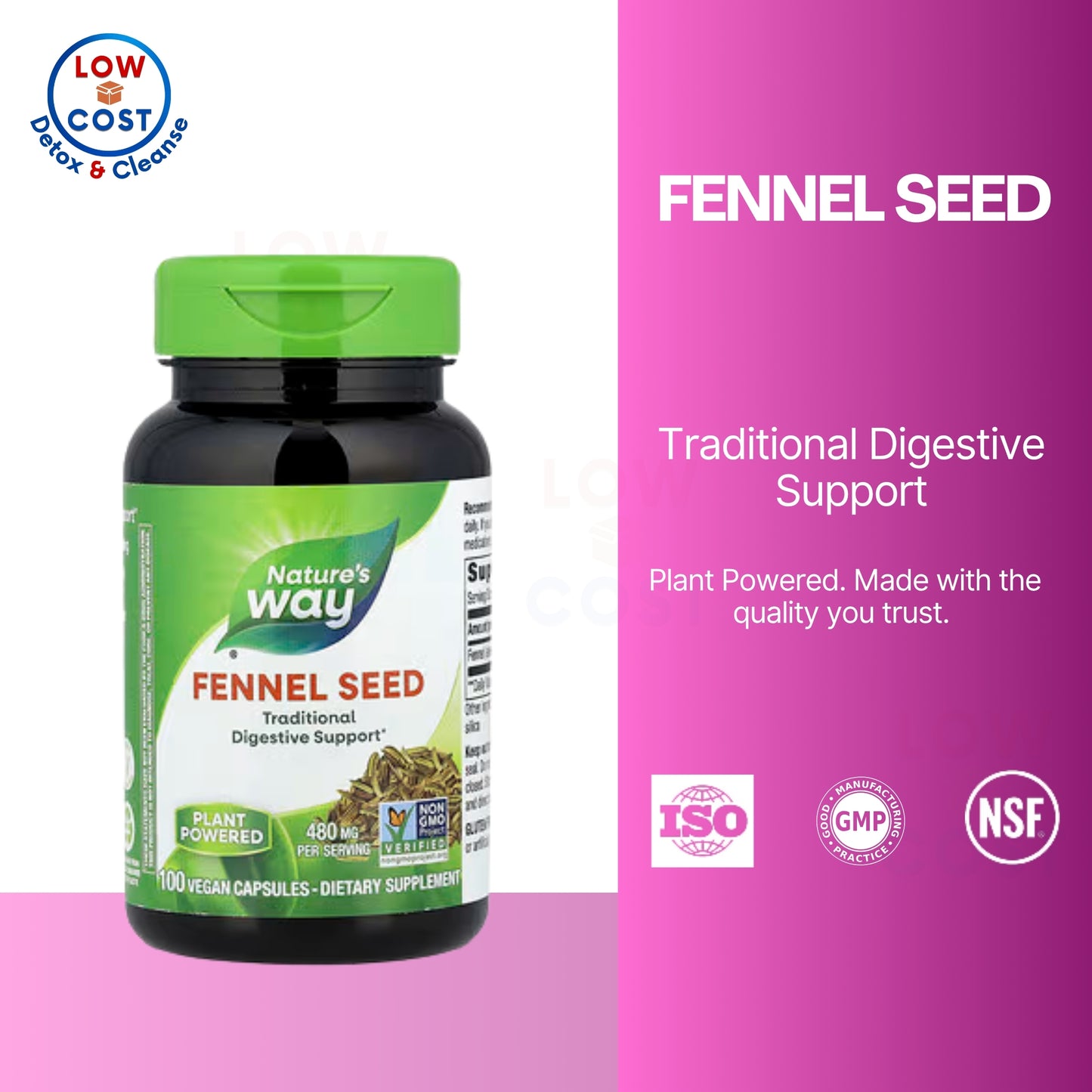 LowCostPH | Nature's Way, Fennel Seed ( Supports Gut Comfort, Rich in Nutrients & Antioxidants )