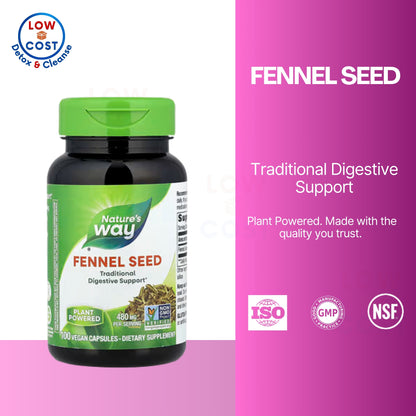 LowCostPH | Nature's Way, Fennel Seed ( Supports Gut Comfort, Rich in Nutrients & Antioxidants )