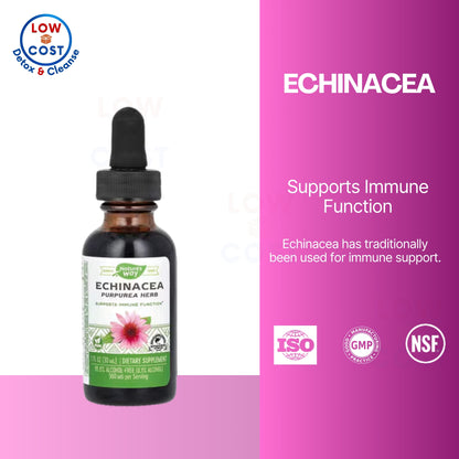 LowCostPH | Nature's Way, Echinacea, 500 mg, 1 fl oz ( Immune System Support & Antioxidant Protection )
