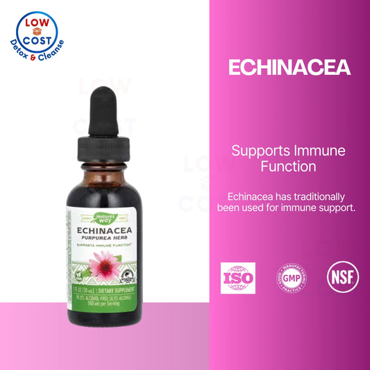 LowCostPH | Nature's Way, Echinacea, 500 mg, 1 fl oz ( Immune System Support & Antioxidant Protection )