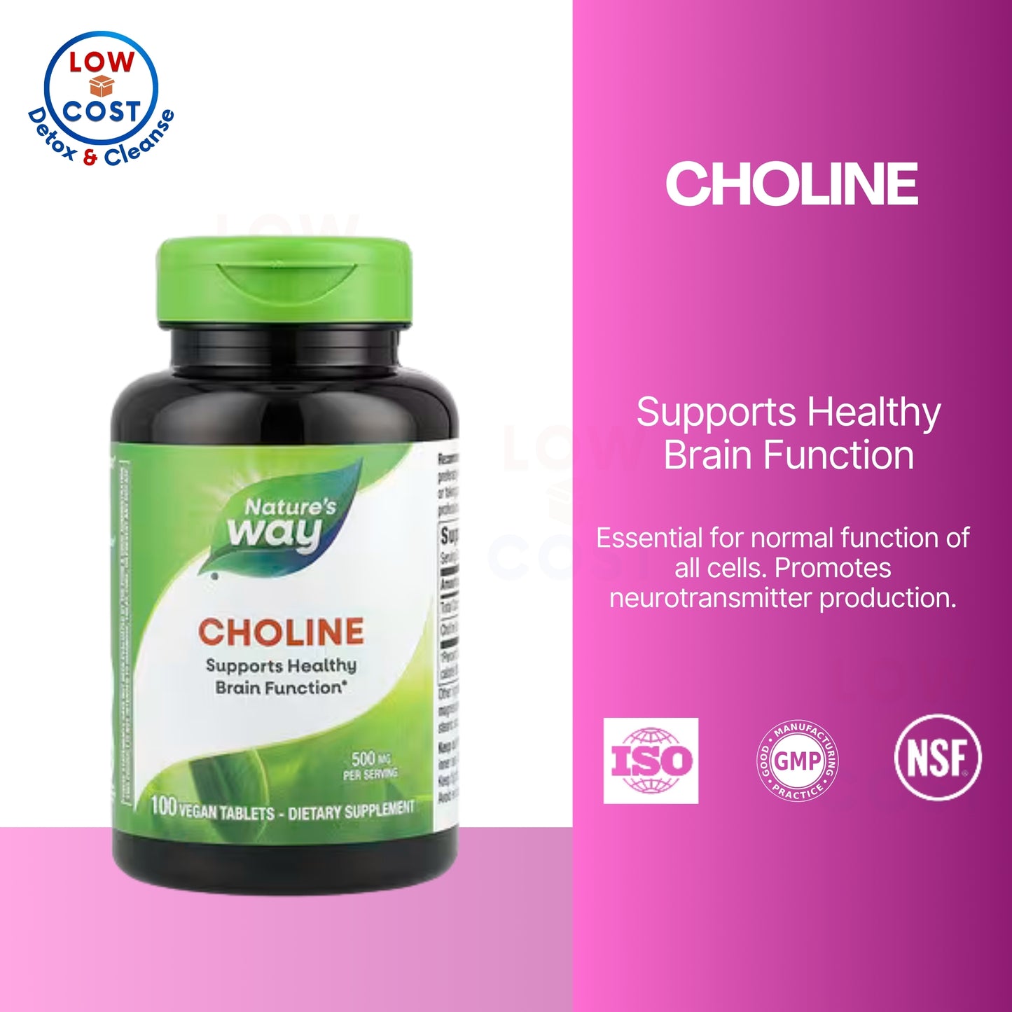 LowCostPH | Nature's Way, Choline ( Enhances Liver, Supports Brain & Cognitive Function )
