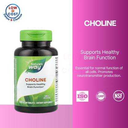 LowCostPH | Nature's Way, Choline ( Enhances Liver, Supports Brain & Cognitive Function )