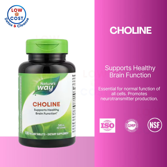 LowCostPH | Nature's Way, Choline ( Enhances Liver, Supports Brain & Cognitive Function )