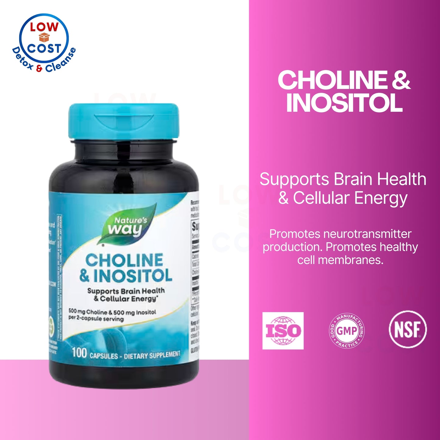 LowCostPH | Nature's Way, Choline & Inositol ( Supports Brain Health & Enhances Cellular Function )
