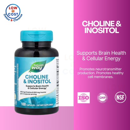 LowCostPH | Nature's Way, Choline & Inositol ( Supports Brain Health & Enhances Cellular Function )