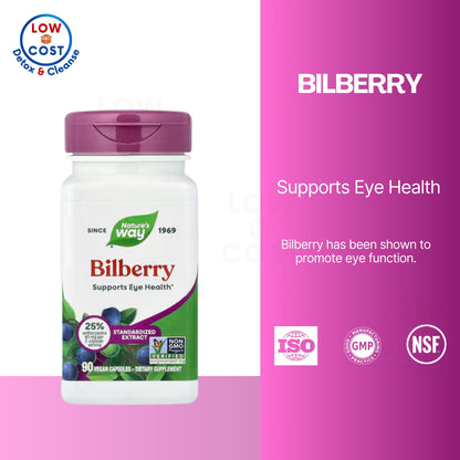 LowCostPH | Nature's Way, Bilberry Premium Extract ( May Help Reduce Eye Fatigue, Support Night Vision )