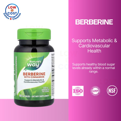 LowCostPH | Nature's Way, Berberine With Cinnamon ( Metabolic Health & Cardiovascular Health )