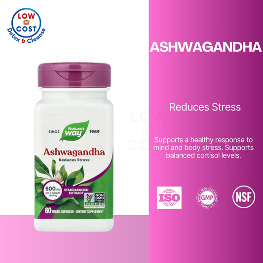 LowCostPH | Nature's Way, Ashwagandha, Premium Extract ( Stress Relief & Adaptogenic Support )