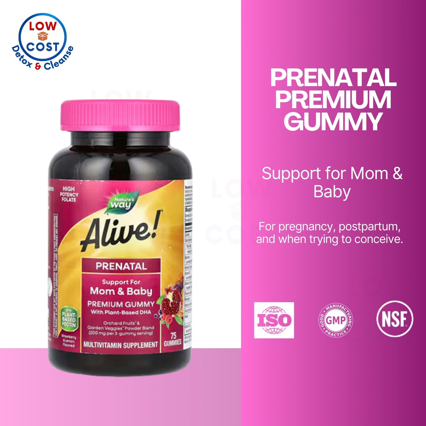 LowCostPH | Nature's Way, Alive! Prenatal Premium Gummy, Complete High Potency Folate & Iron