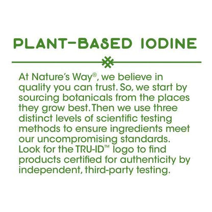 LowCostPH | Nature's Way, Bladderwrack, 580 mg, 100 Vegan Capsules plant-based to supplements.
