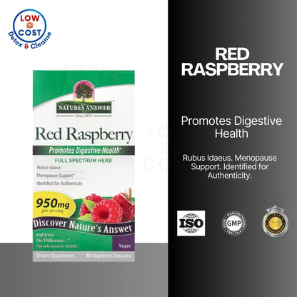 Lowcostph | Nature's Answer, Red Raspberry, 950 mg, 90 Vegetarian Capsules (475 mg per Capsule)