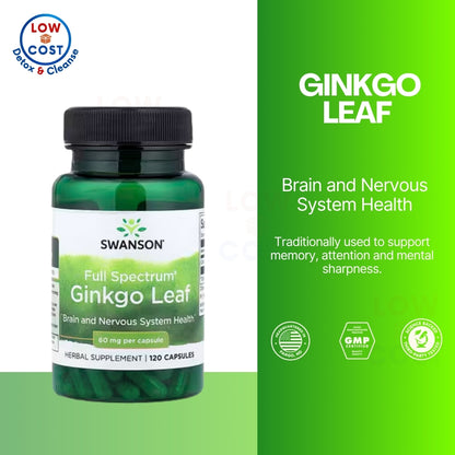 LowCostPH | Swanson, Full Spectrum® Ginkgo Leaf, 60 mg 120 Capsules Brain & Nervous System Health