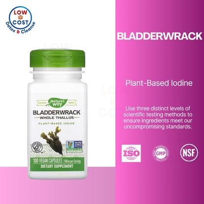 LowCostPH | Nature's Way, Bladderwrack, 580 mg, 100 Vegan Capsules plant-based to supplements.