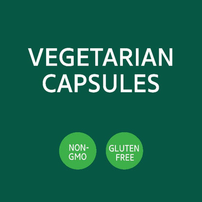 LowCostPH | 21st Century Ginkgo Biloba Extract, Standardized, Brain, Memory & Mental Performance