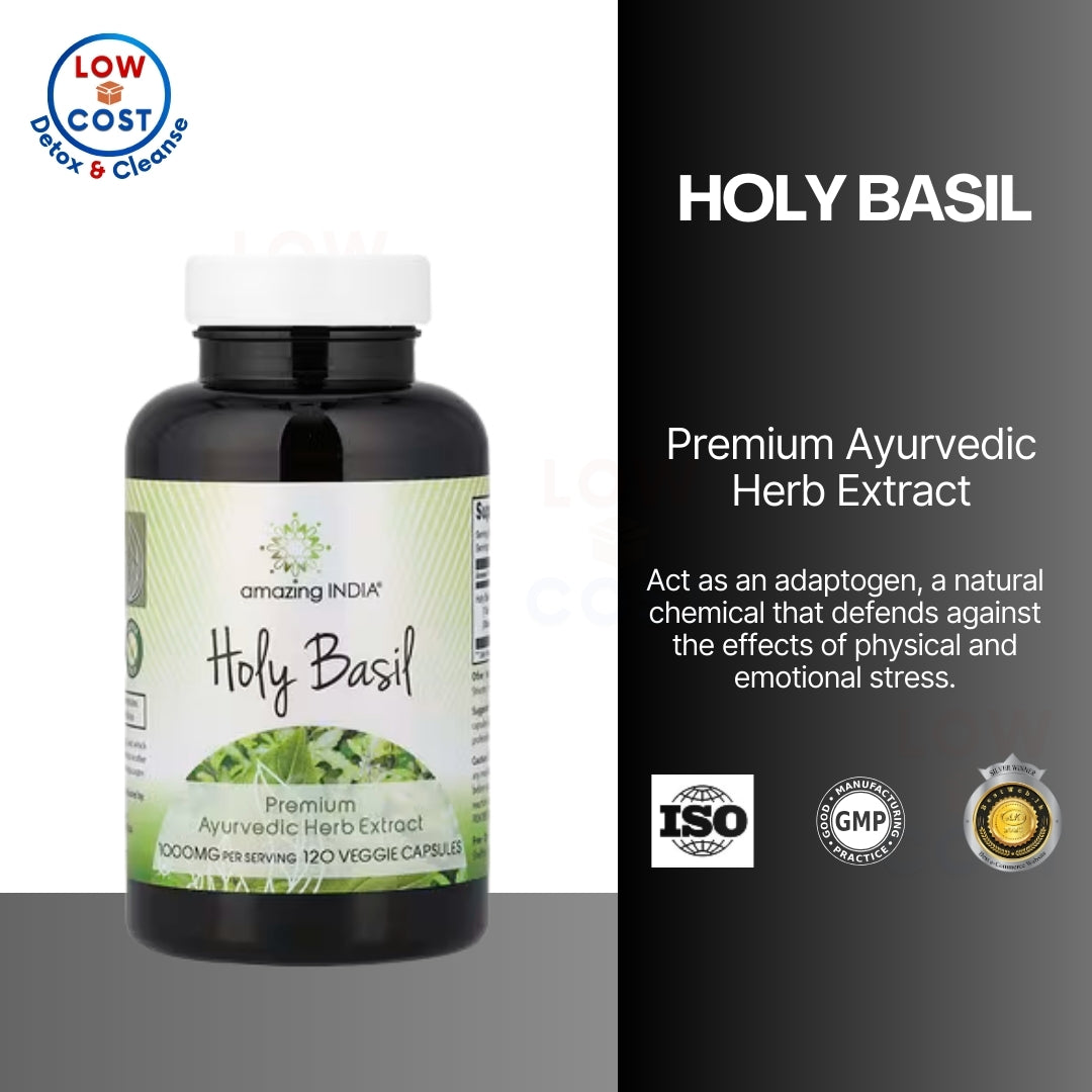 LowCostPH| Amazing India, Holy Basil, 500 mg, 120 Veggie Capsules