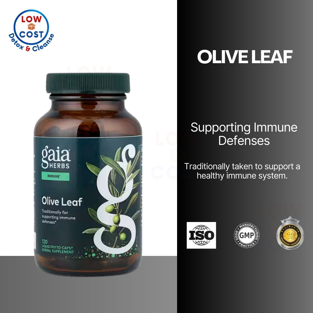 LowCostPH| Gaia Herbs, Olive Leaf, 120 Vegan Liquid Phyto-Caps