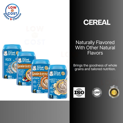 Little Sunshine | Gerbers, Oatmeal, Rice, Lil Bits, Hearty Bits, Probiotic Banana, Multigrain Cereal