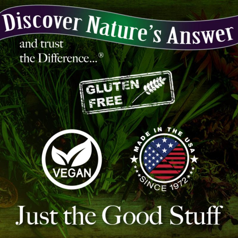LowCostPh | Nature's Answer, Mullein Leaf, 500 mg, 90 Veg Cap | Fluid Extract, Alcohol-Free, 2,000mg
