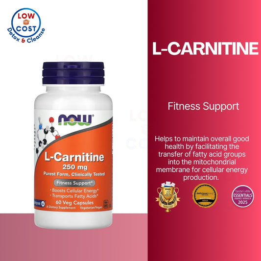 LowCostPH | NOW Foods, L-Carnitine, 250 mg, 500mg |  Acetyl-L- Carnitine, Powder, 3 oz, Liquid,