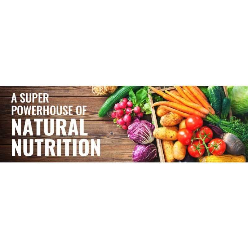 LowCostPh | NaturesPlus, Total Digestive Wellness, GI Natural, 90 Bi-Layered Tablets