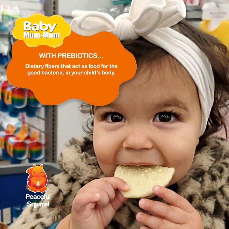 NaturalSolutions | Hot Kid, Baby Mum-Mum, Gentle Teething Wafers Organic Super Teethers, Berry,Apple