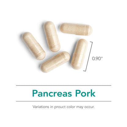 Lowcostph | Nutricology, Pancreas, Natural Glandular (Pork), 60 Capsule