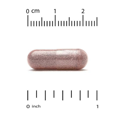 LowCost PH| Lake Avenue Nutrition, Resveratrol Complex, 500 mg, 250 Veggie Capsules