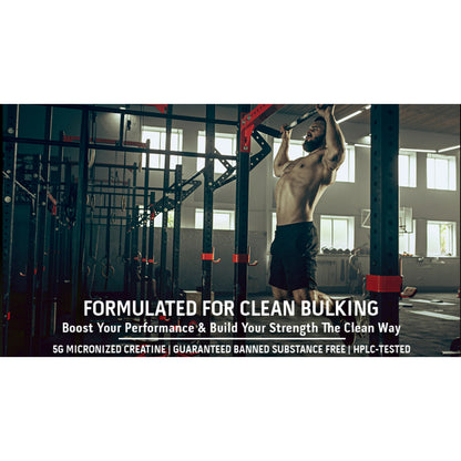 Low Cost PH | MuscleTech Essential Series Platinum 100% Creatine 400g