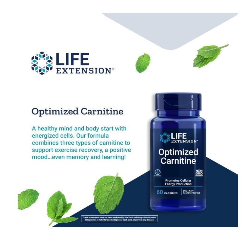 Lowcostph | Life Extension, Optimized Carnitine, 60 Capsules