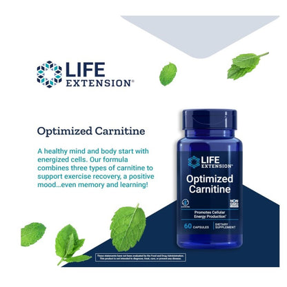 Lowcostph | Life Extension, Optimized Carnitine, 60 Capsules