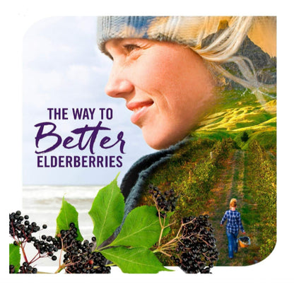 LowCostPh | Nature's Way, Sambucus Gummies, Standardized Elderberry, For Adult and Kids 60 Gummies